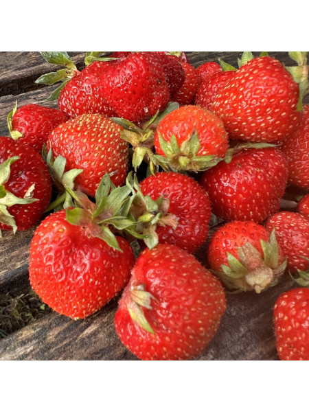 Клубника - ароматизатор для свечей 5 мл