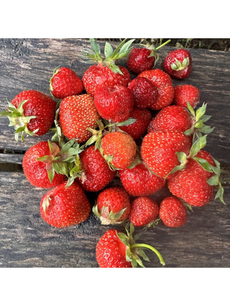 Клубника - отдушка 10 мл