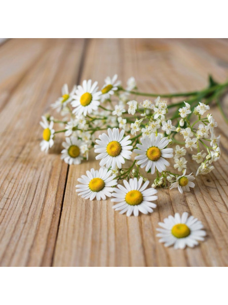 Ромашка и липа - отдушка (10 мл) 