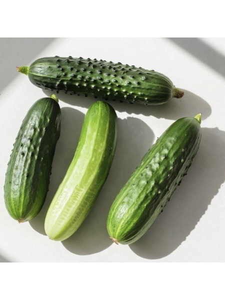 Огурец - отдушка (10 мл)