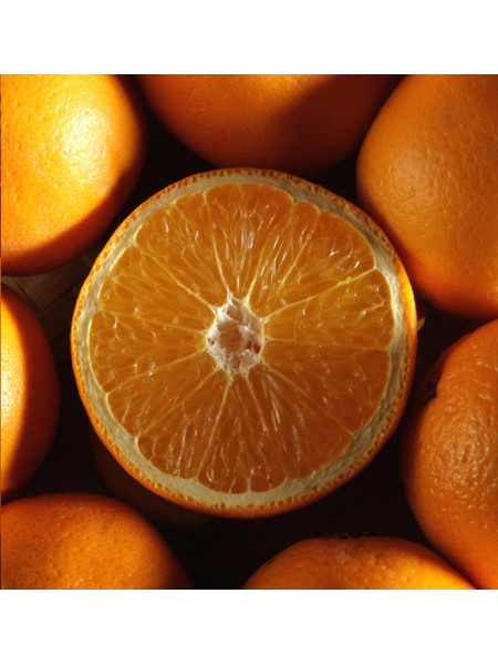 Апельсин Т - отдушка (10 мл)