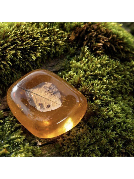 Дубовый мох и янтарь - отдушка (10 мл)