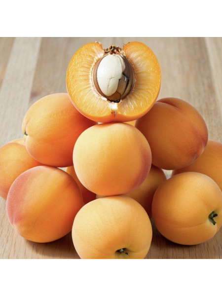 Абрикос  -  отдушка  (10 мл) 