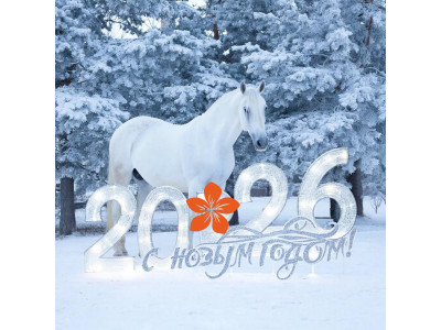 <Как мы работаем в праздники