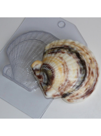 Ракушка / Гребешок - формочка для мыла ручной работы пластиковая