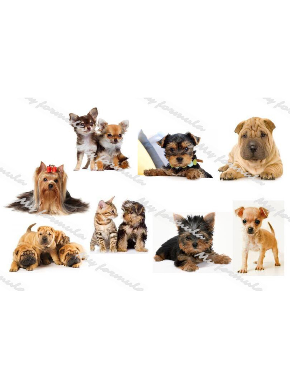 Собаки - картинки на водорастворимой бумаге для мыловарения купить в интернет-магазине Моя формула